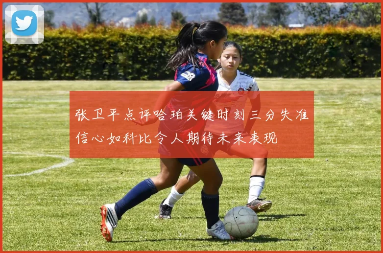 张卫平点评哈珀关键时刻三分失准信心如科比令人期待未来表现