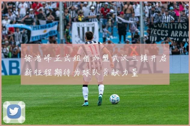 徐浩峰正式租借加盟武汉三镇开启新征程期待为球队贡献力量