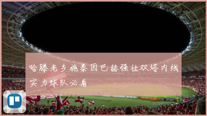 哈滕老乡施泰因巴赫强壮双塔内线实力球队必看